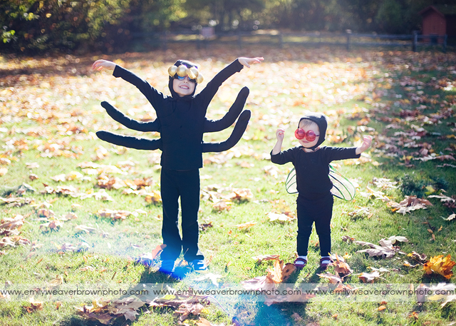 My Spider and Fly {Halloween 2012}