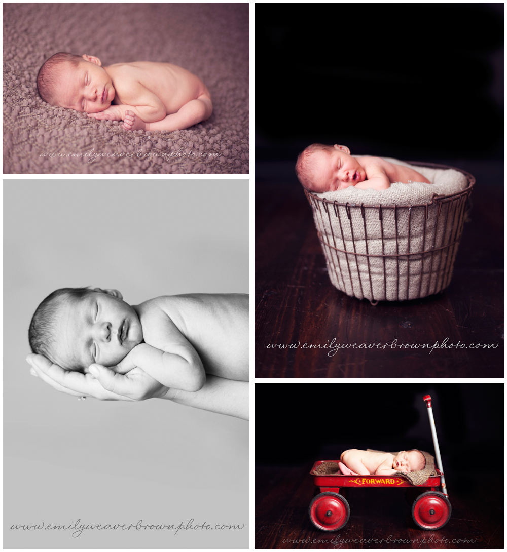 seattle.newborn.photographer.blog
