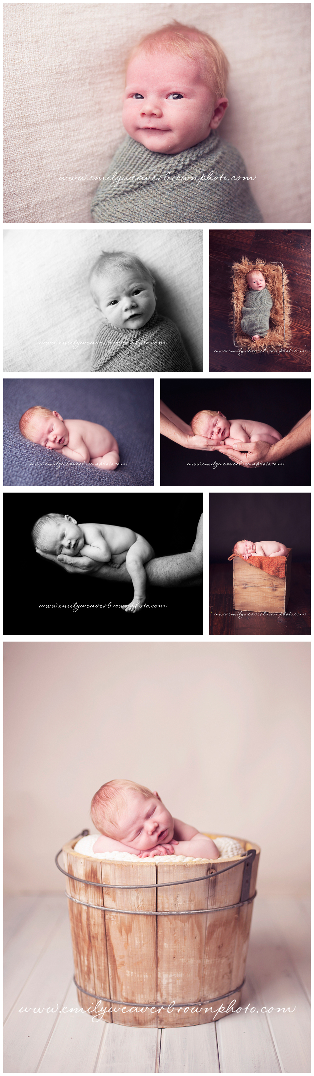 seattle.newborn.photographer